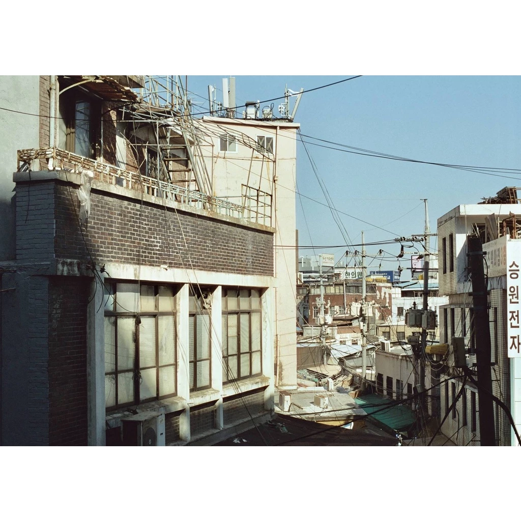 Phim CineStill 50D ISO 50, Màu Color, 135/35mm x 36 Kiểu, Out Date Nhẹ Cho Máy Chụp Ảnh Film - LIIQ Flash — ảnh 5